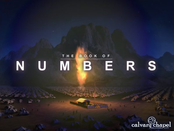 Numbers 01-03 Image